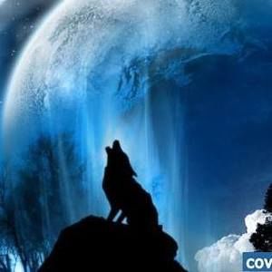 Meet your Posher, Janice